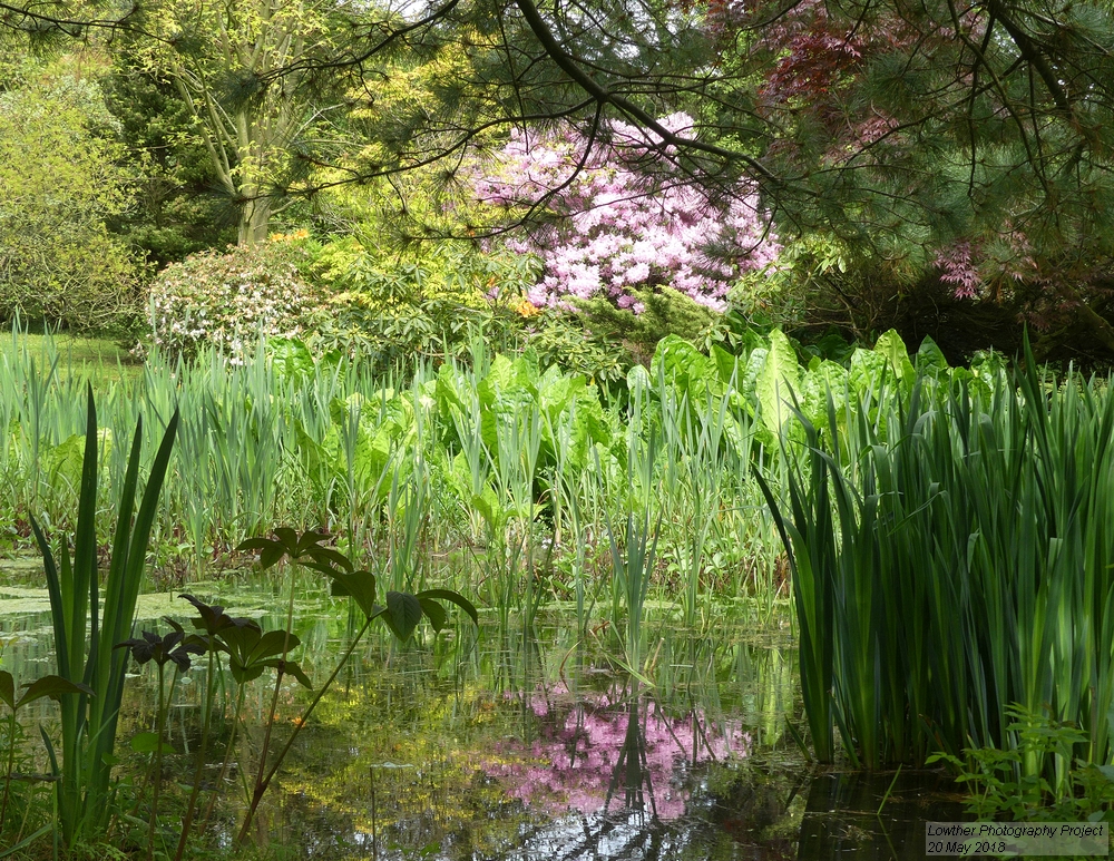 Mirefoot gardens